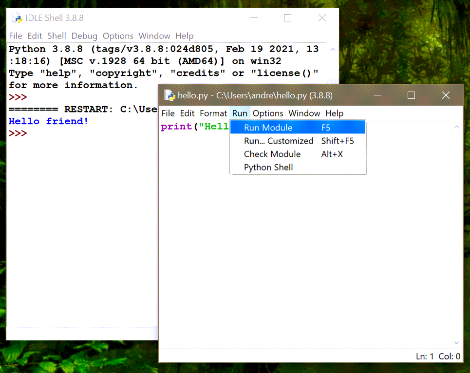 Screen capture of IDLE