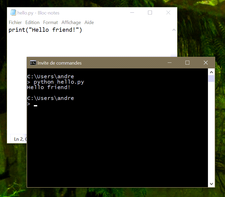 Python runing in a terminal