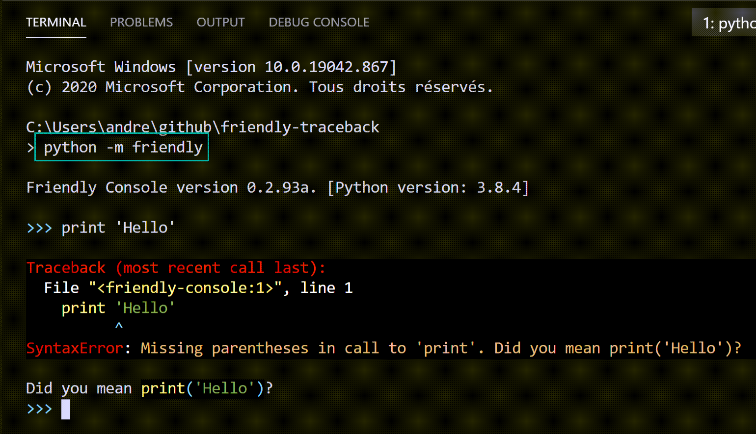 Screen capture showing VS code terminal in dark mode